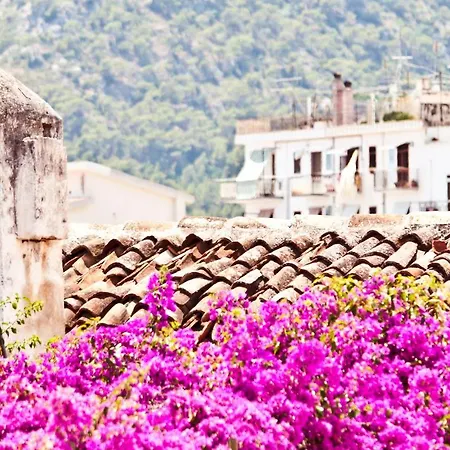 Coppadicuocobb 마티나타