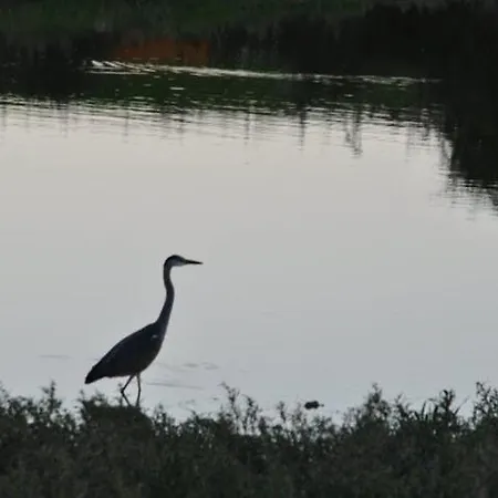 B&B Coppadicuocobb 4*