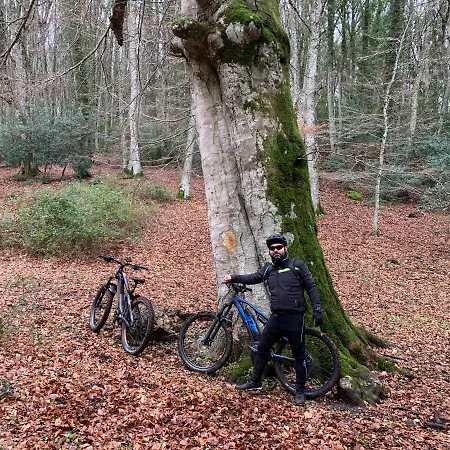 Bed and breakfast Coppadicuocobb Mattinata