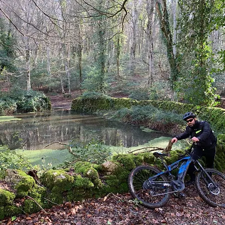 Coppadicuocobb Bed and breakfast