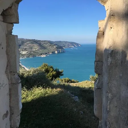 Bed and breakfast Coppadicuocobb