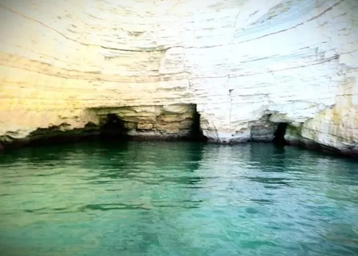 Panzió Coppadicuocobb